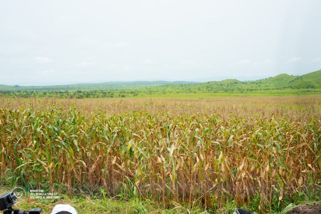Taxe illégale de 10 $ par tonne imposée par l’OCC : le ministre Paluku libère les produits agricoles